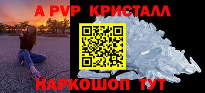 таблы Новозыбков