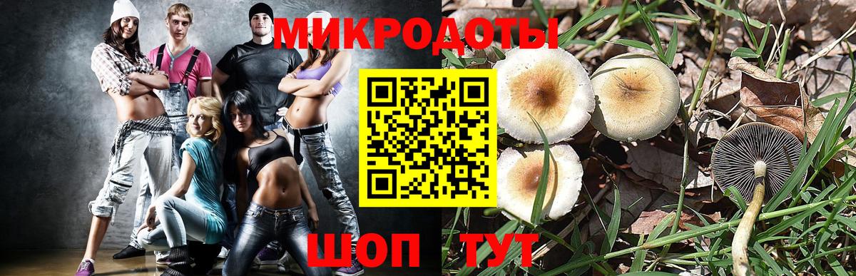 Советский  Псилоцибиновые грибы MAGIC MUSHROOMS  Вход с VPN  Галлюциногенные грибы Magic Shrooms 
