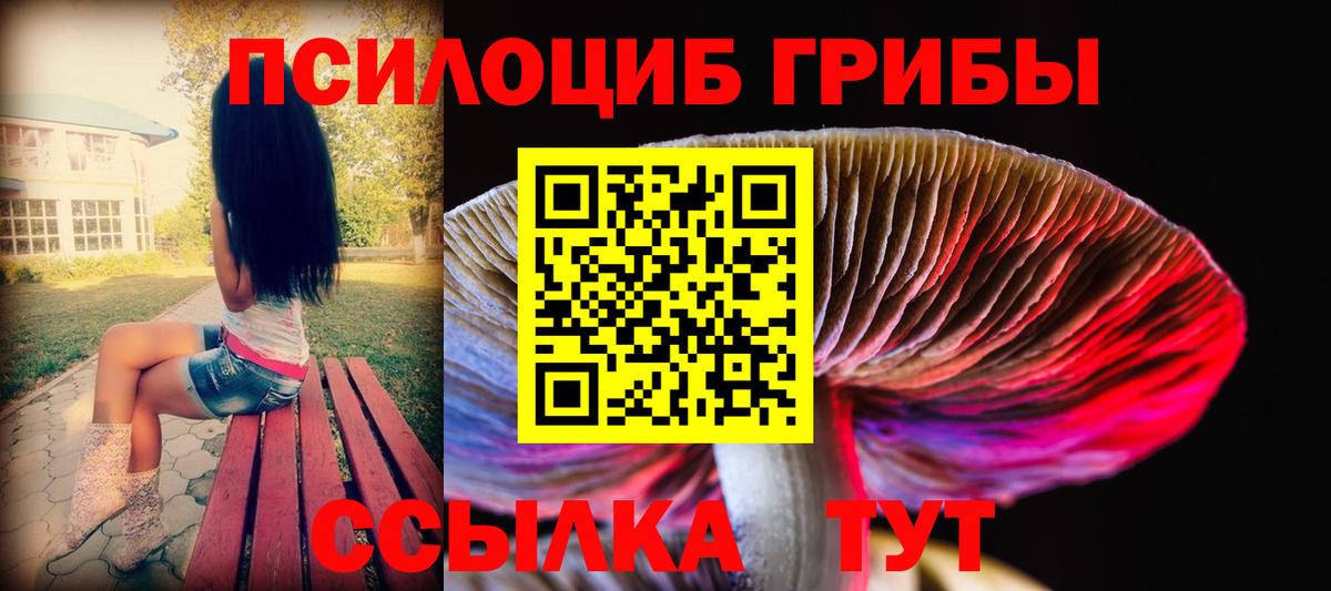 Галлюциногенные грибы MAGIC MUSHROOMS Советский
