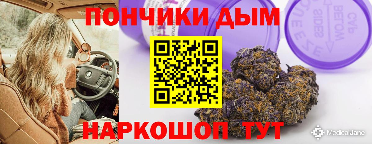 Бошки марихуана сатива Советский